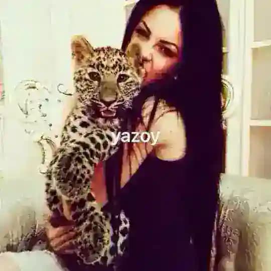 yazoy group’s 🐆