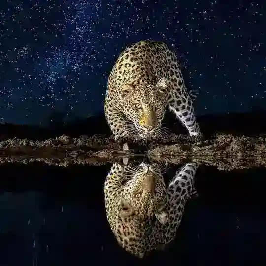 تحلیل آنلاین