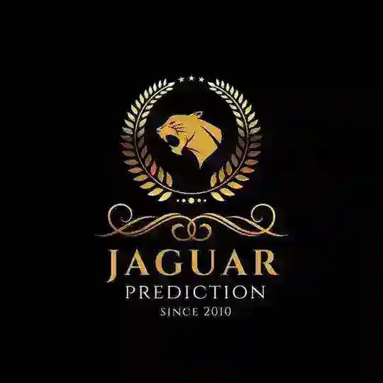 JAGUAR THE BRAND™ PREDICTIONS
