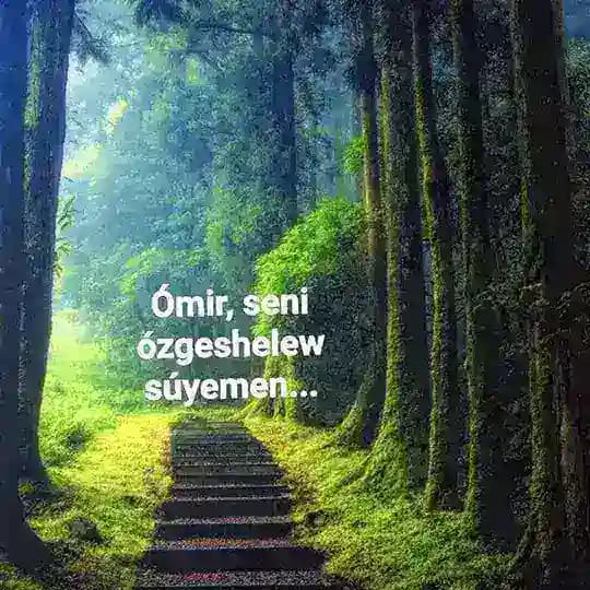 Өмир сени өзгешелеў сүйемен...