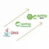 Java full stack developers