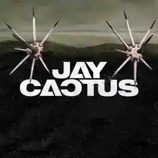 Jay Cactus Kits