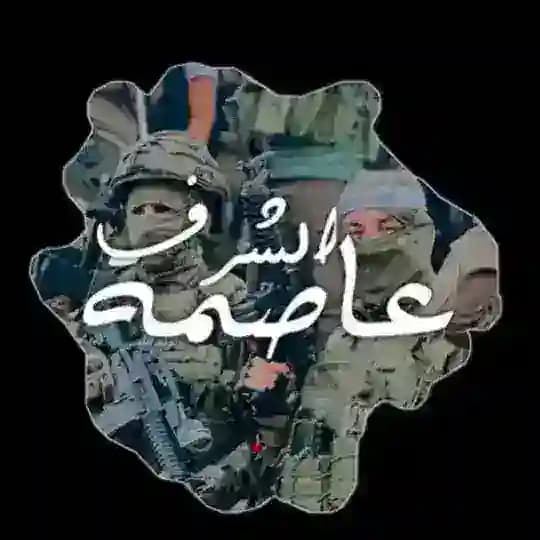 جنين العاصمة