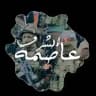 جنين العاصمة