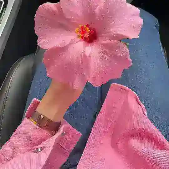 مُقَاِطٕعٍ سِٕكَِّسَٕٓيٍُهَِٕ قصص نَِيِٰجَٕهُِ افٓلُآمَ Profile