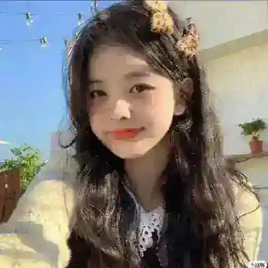 旺仔数据