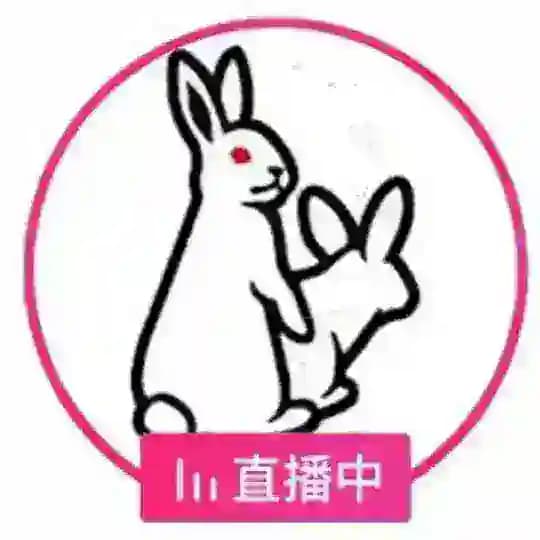 DOIFANS鉴凰师