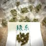 极乐飞行担保平台