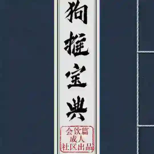 狗推宝典|海外素材|精聊话术|套图|