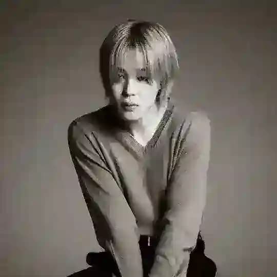 Jimin Park