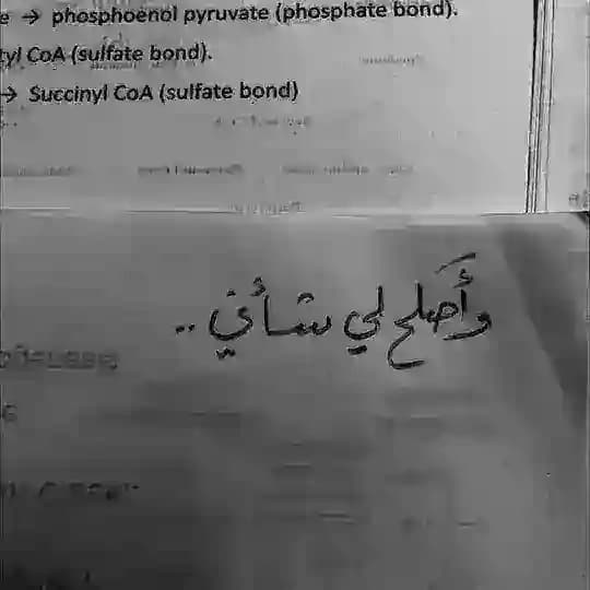 خَريف .