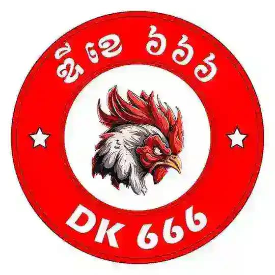 សង្វៀន DK666 & VN Official 🐓💰