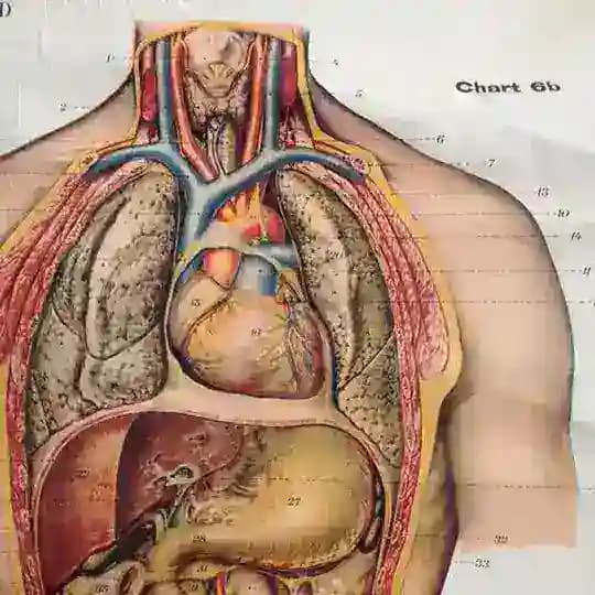 Medical Terminology