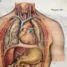 Medical Terminology