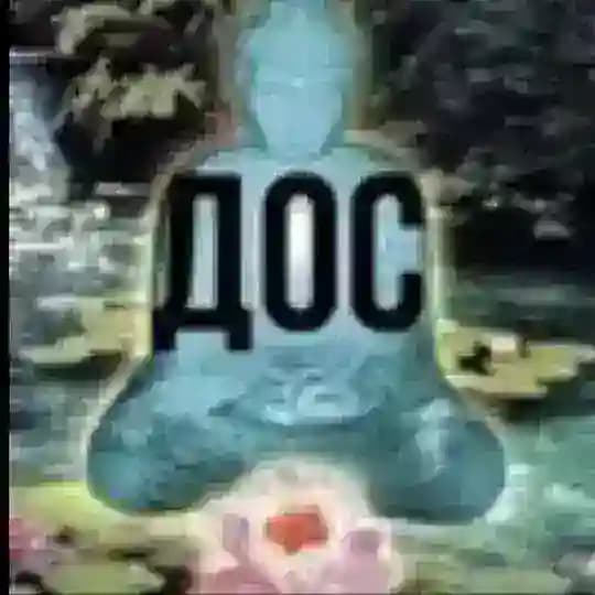 яся яджокер