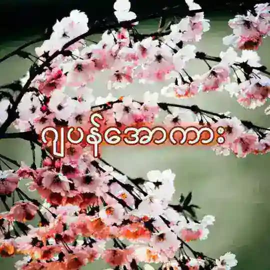 ဂျပန်အားကြီး အပျိုကြီး ဂျပန်လူကြီး