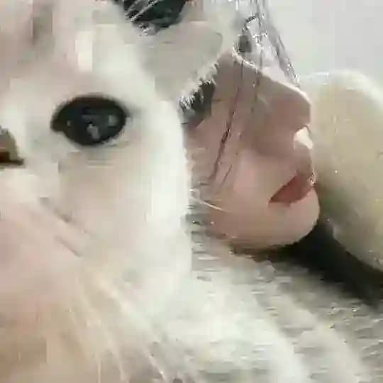 微子的贝贝窝