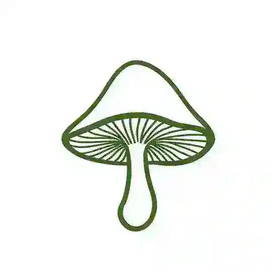 见手青Emby通知频道