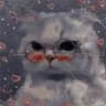 Котики