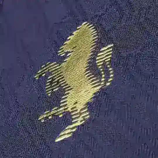 Forza Juventus | «Ювентус»