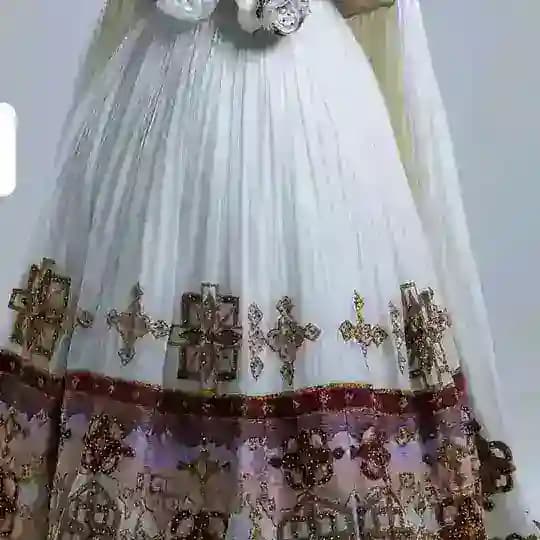 Gechi habesha