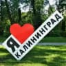 Калининград новости сегодня сейчас