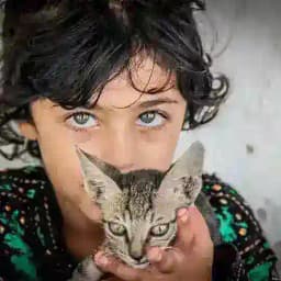 🌿🌹کمال موزیک🌹🌿 Profile