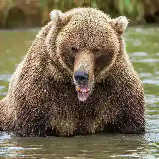 Геннадий Юсин фотоистории