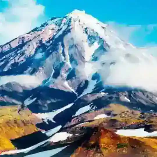 Камчатка Морепродукты (Нск)