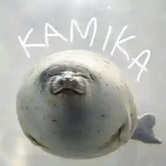 камика передых