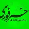 خبر فوری
