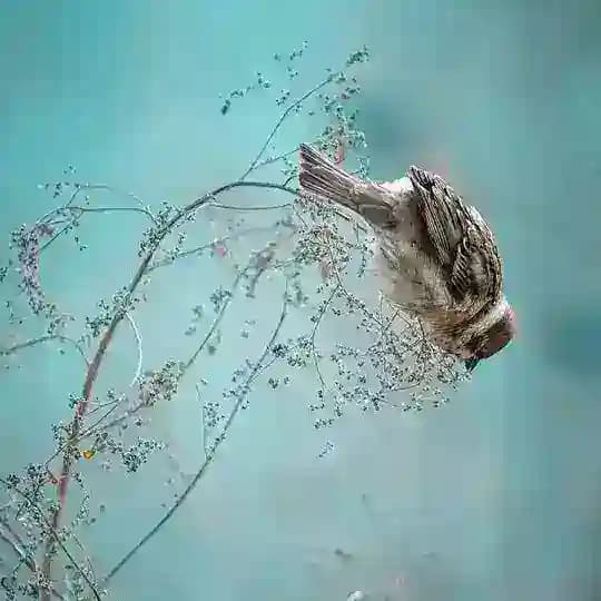 الاثر الطيب 🌺🤍