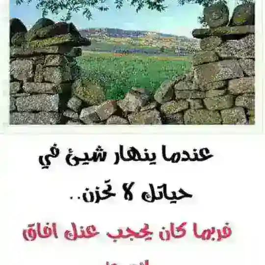 قاصرات الطرف🥰🥰