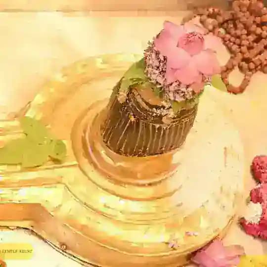 Kashi Vishwanath Mandir Profile