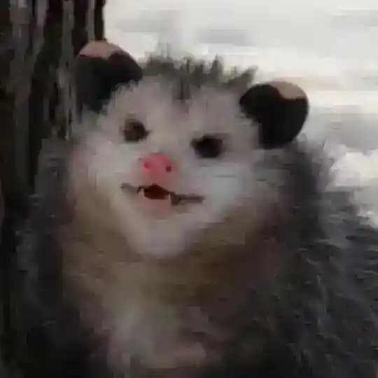Kasper