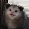 Kasper