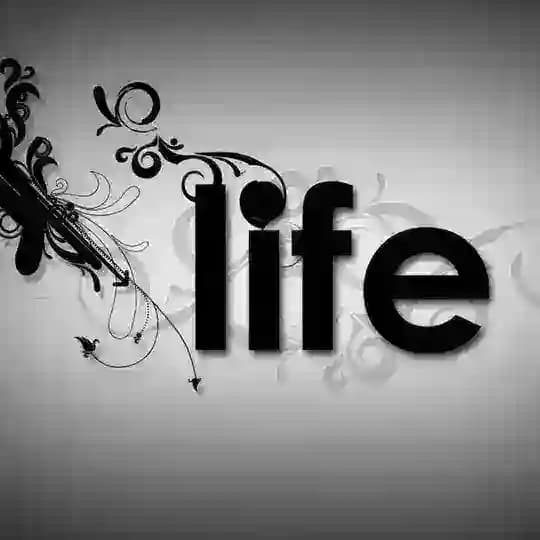 The LIFE_Official™ Profile