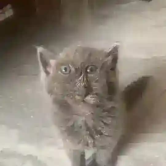 катюшка