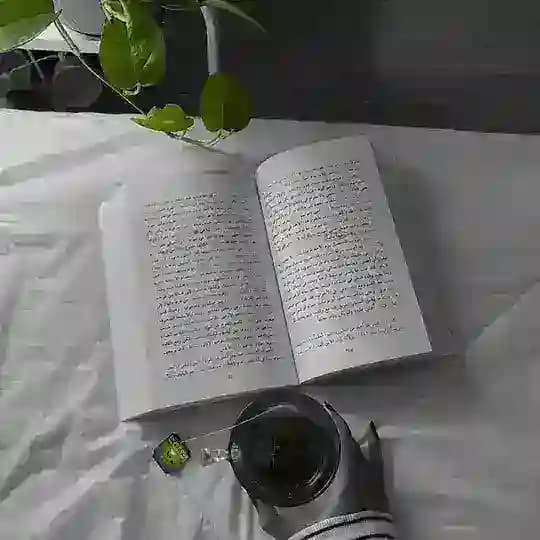 ˼‏ ︎ᴋᴇʟʀ ˹