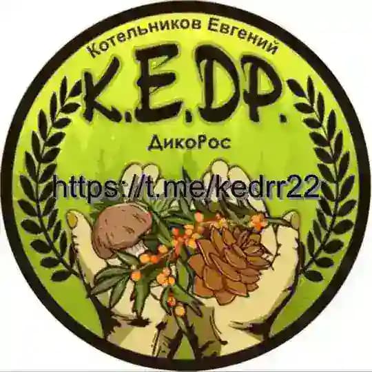 K.E.D.R 22