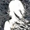 Ken Carson