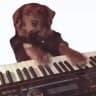 KeyDog portal