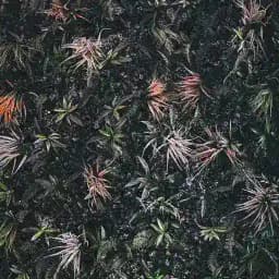 Agricultural and Food Sciences /subjects Profile