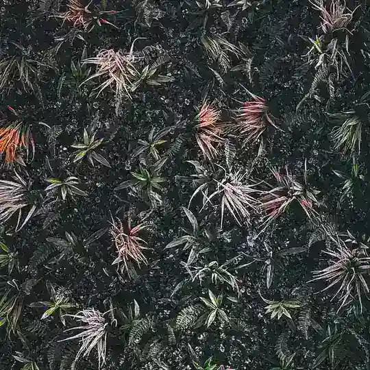 Agricultural and Food Sciences /subjects Profile