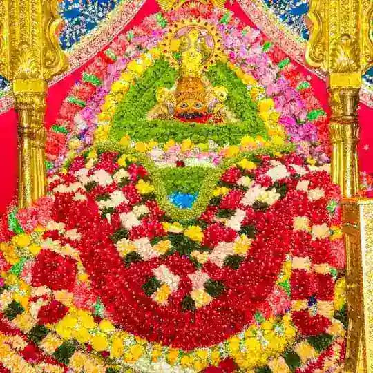 ❤️ खाटूश्याम जी दर्शन ❤️