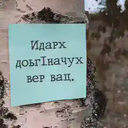 Чеченские цитаты и видео❤️🔥