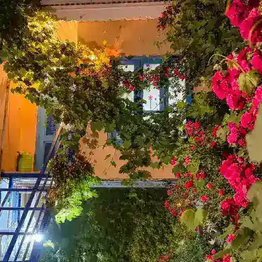 🌱◉✿ خونـہ ے آرامش ✿◉🌱 Profile