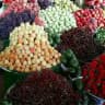 خوراک طبیعی رشت