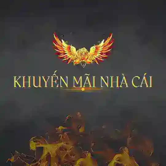 Khuyến Mãi Nhà Cái 🎲