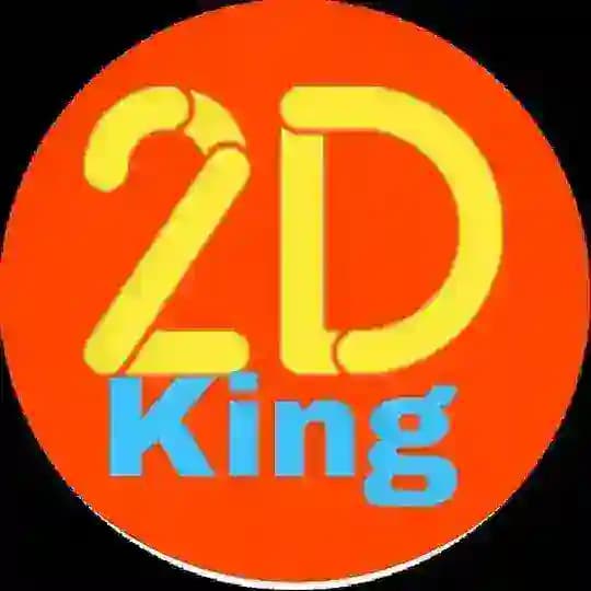 2D King